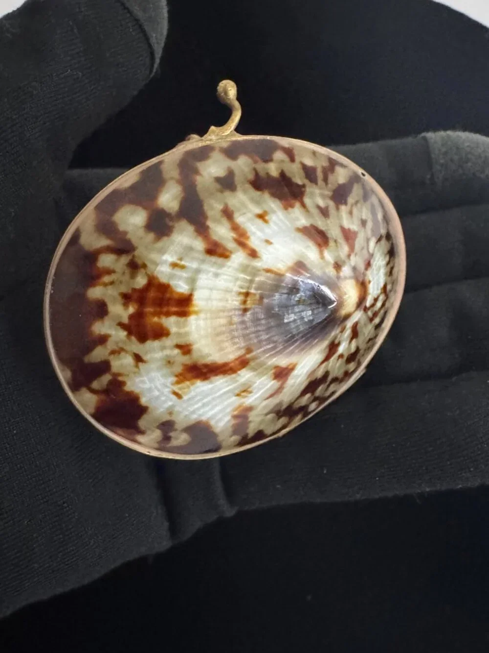 Shell trinket box with brass rim